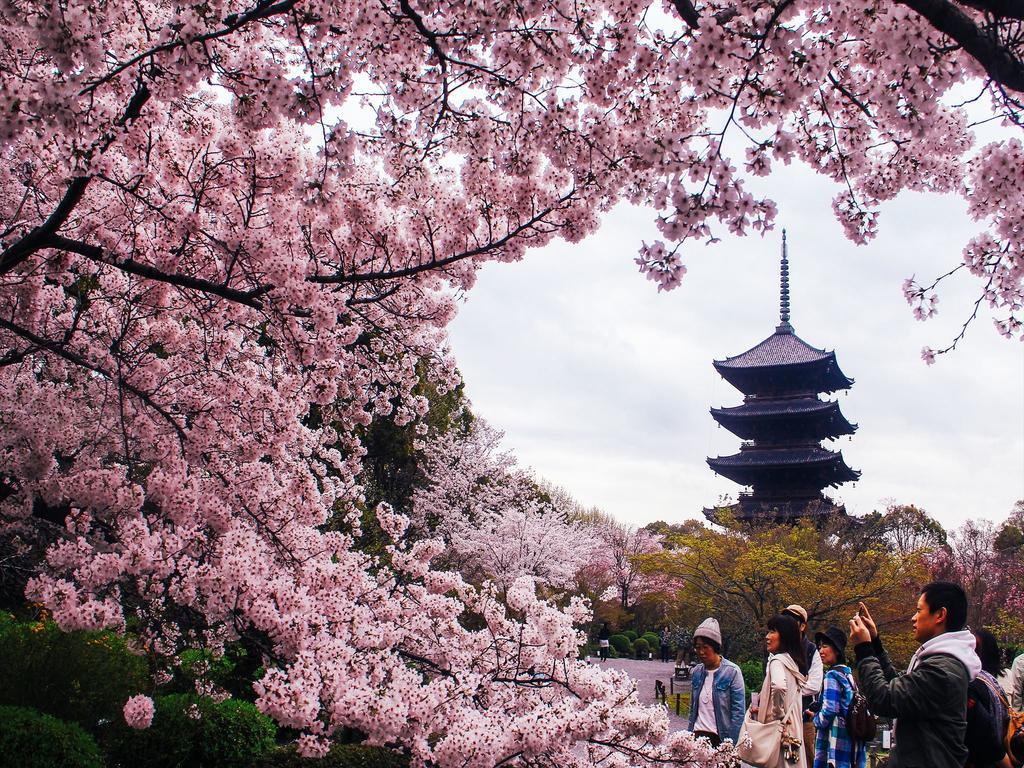 Coto Kyoto Toji 3 Leilighet Eksteriør bilde